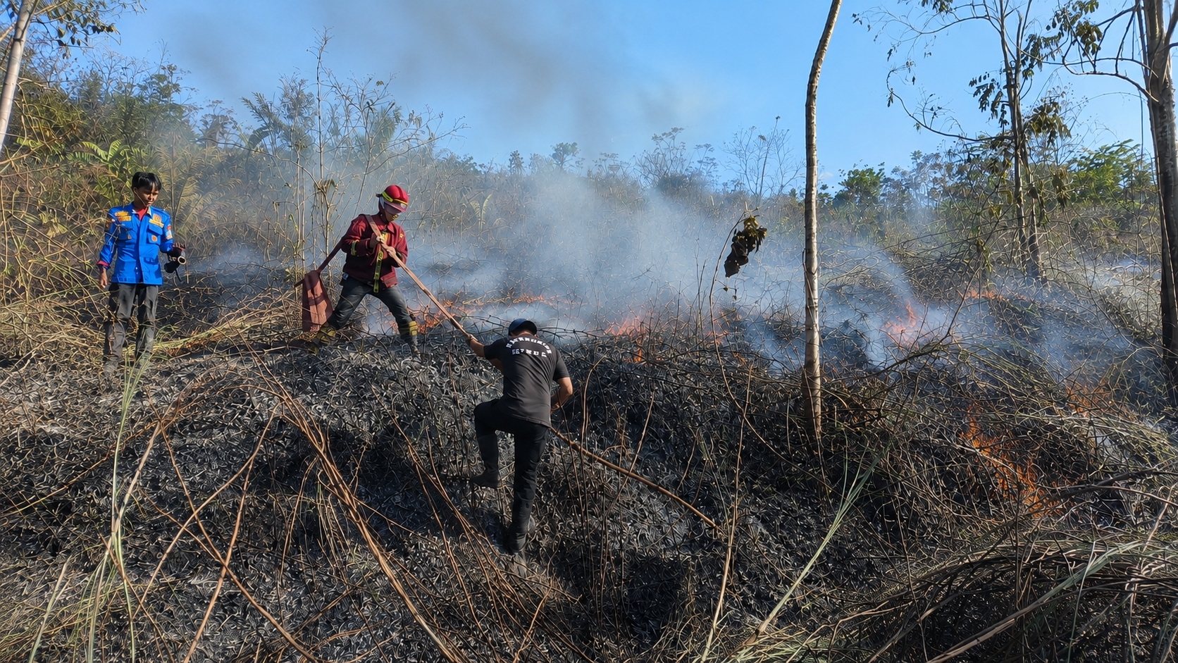 Bakar Lahan Usai Panen, Petani Mengaku Tak Tahu Ada Larangan, Kebakaran Hebat Terjadi Tak Lama Berselang