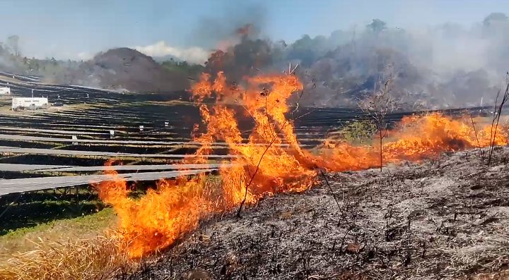 Kebakaran Lahan Dekati Area PLTS Likupang, Api Merambat ke Zona Panel Surya