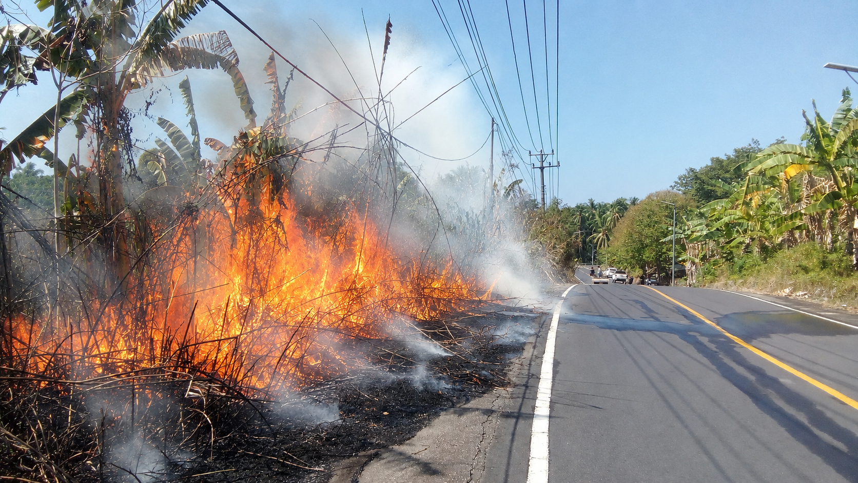 Kebakaran Lahan Kembali Terjadi di Kampung Ambong, Kabel Listrik Suplai Air Desa Terdampak