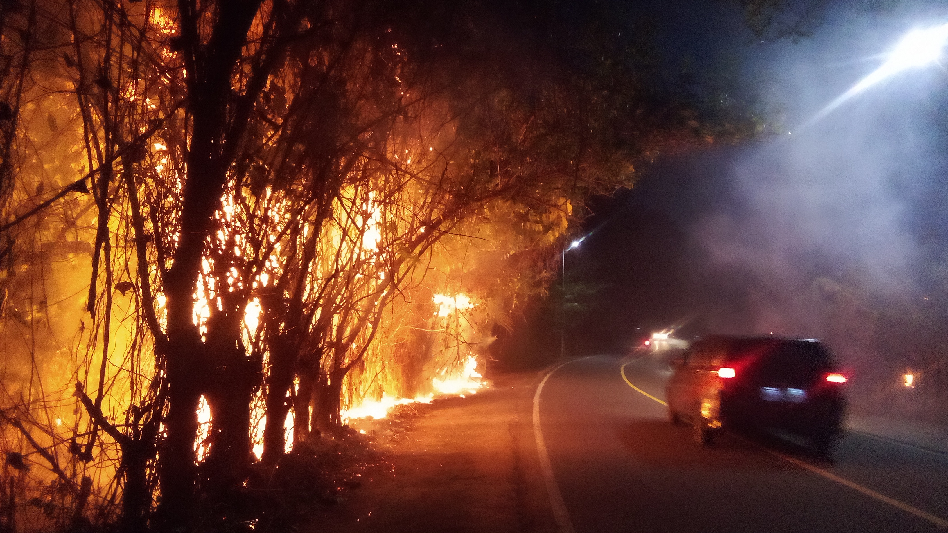 Kebakaran Landa Sejumlah Titik Lahan di Wineru, Api Masih Berkobar di Area Perkebunan