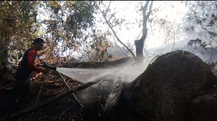 Api Gunung Cot 12 Menjalar Mendekati Pemukiman, Warga dan Aparat Saling Bantu Padamkan Api.