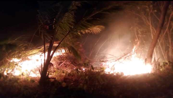 Diduga Berawal dari Sisa Pembakaran, Lahan Perkebunan Warga di Resetlemen Terbakar