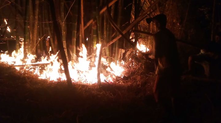 Bambu dan Tumpukan Ranting Kering Picu Kobaran Api Membesar di Kampung Eris Likupang 1